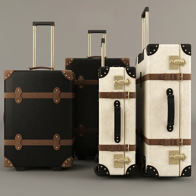 Globe-Trotter suitcases — Descargar