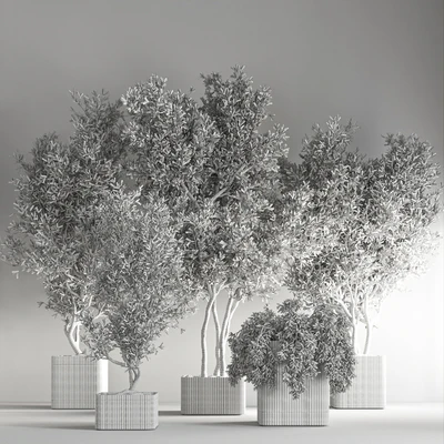 indoor plant set24 — Вид 3