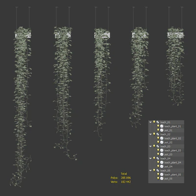 Viun in hanging pots. 5 models — Ver 2