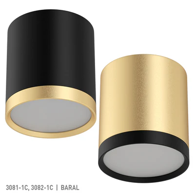 Favorite 3081-1C, 3082-1C — Ver 2