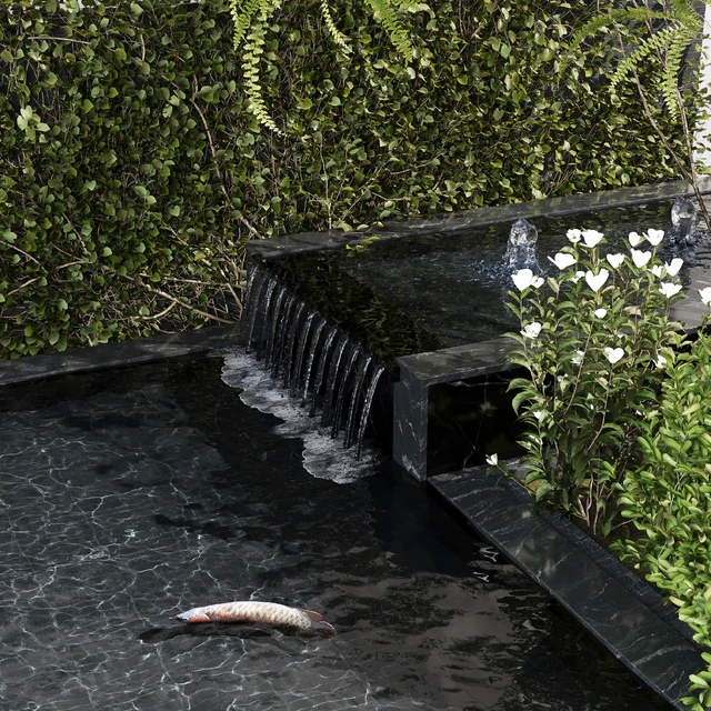 Water Ponds With Plants & fish — Скачать