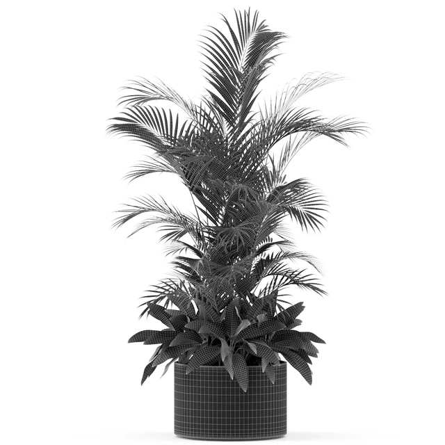 Plants collection 459 — Скачать