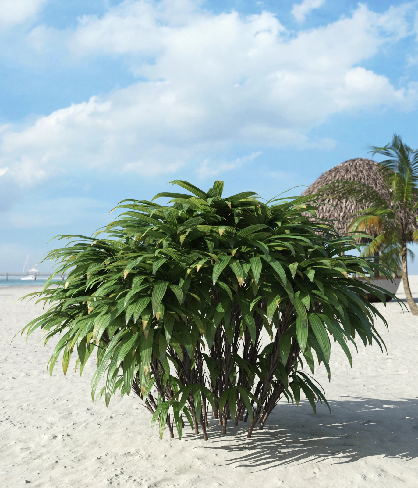palm trees 027 — Descargar