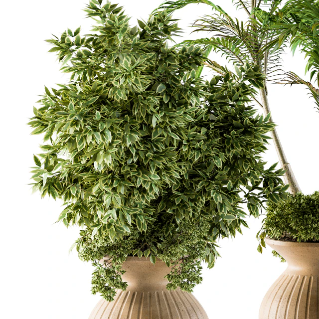 Outdoor Plants - Set 88 — Скачать