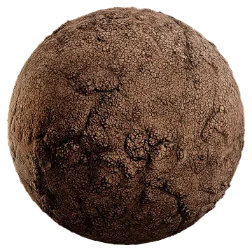 dry cracked mud 010 — Скачать