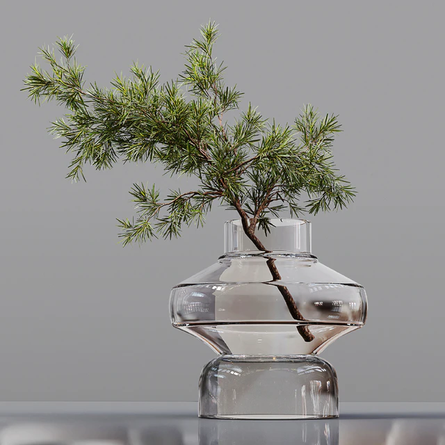 Collection Indoor Plants 03 — Descargar