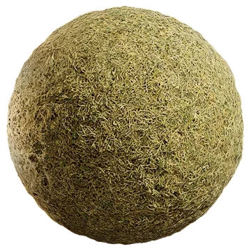 grass dried 060 — Download