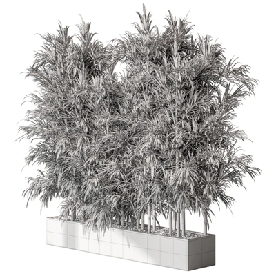 Bamboo Plants - Outdoor Plants 469 — Вид 2