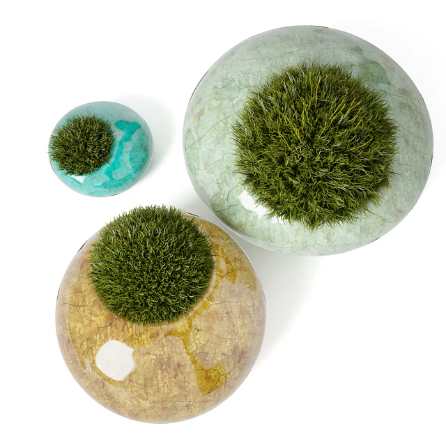 moss rocks — Скачать