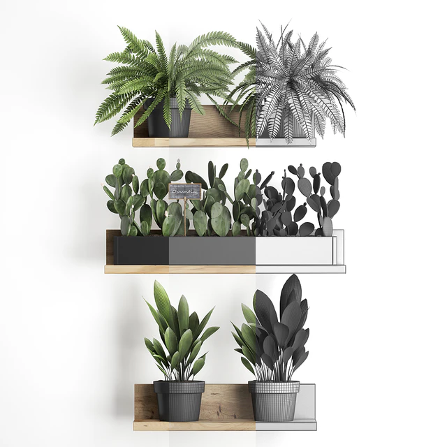 Shelf with flowers Plant  398. Cactus, fern, Prickly pear, prickly pear, indoor plants, eco design — Descargar