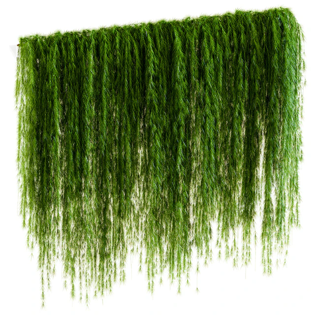 A wall of drooping plant branches — Descargar