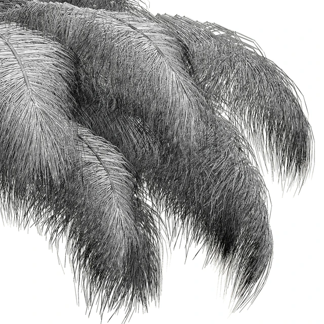 Ostrich Feather Chandelier — Descargar