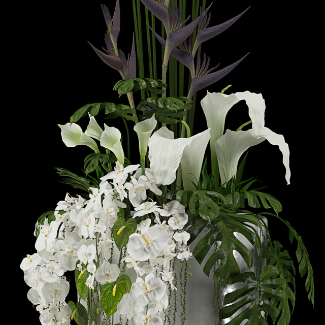 Exotic arrangement — Descargar