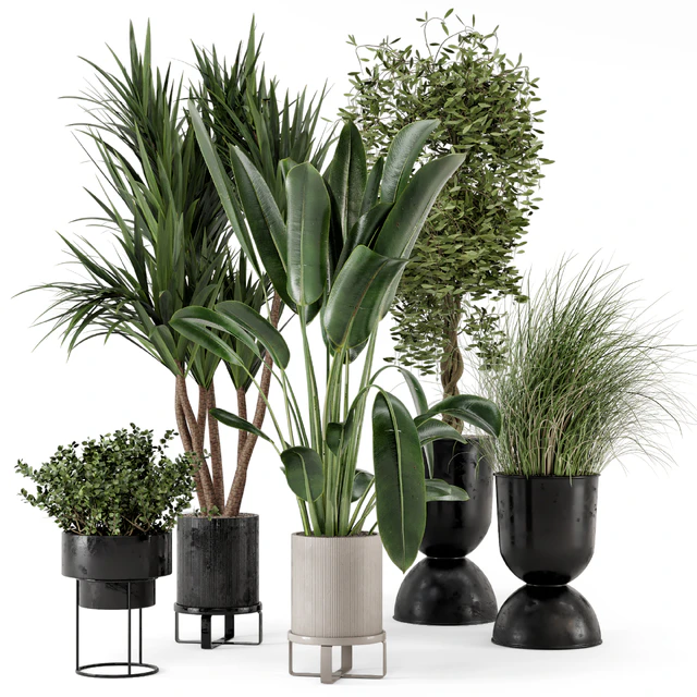 Indoor Plants in Ferm Living Bau Pot Large - Set 312 — Скачать