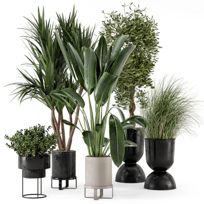 Indoor Plants in Ferm Living Bau Pot Large - Set 312 — Вид 1