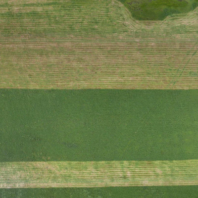 field summer 005 — Descargar