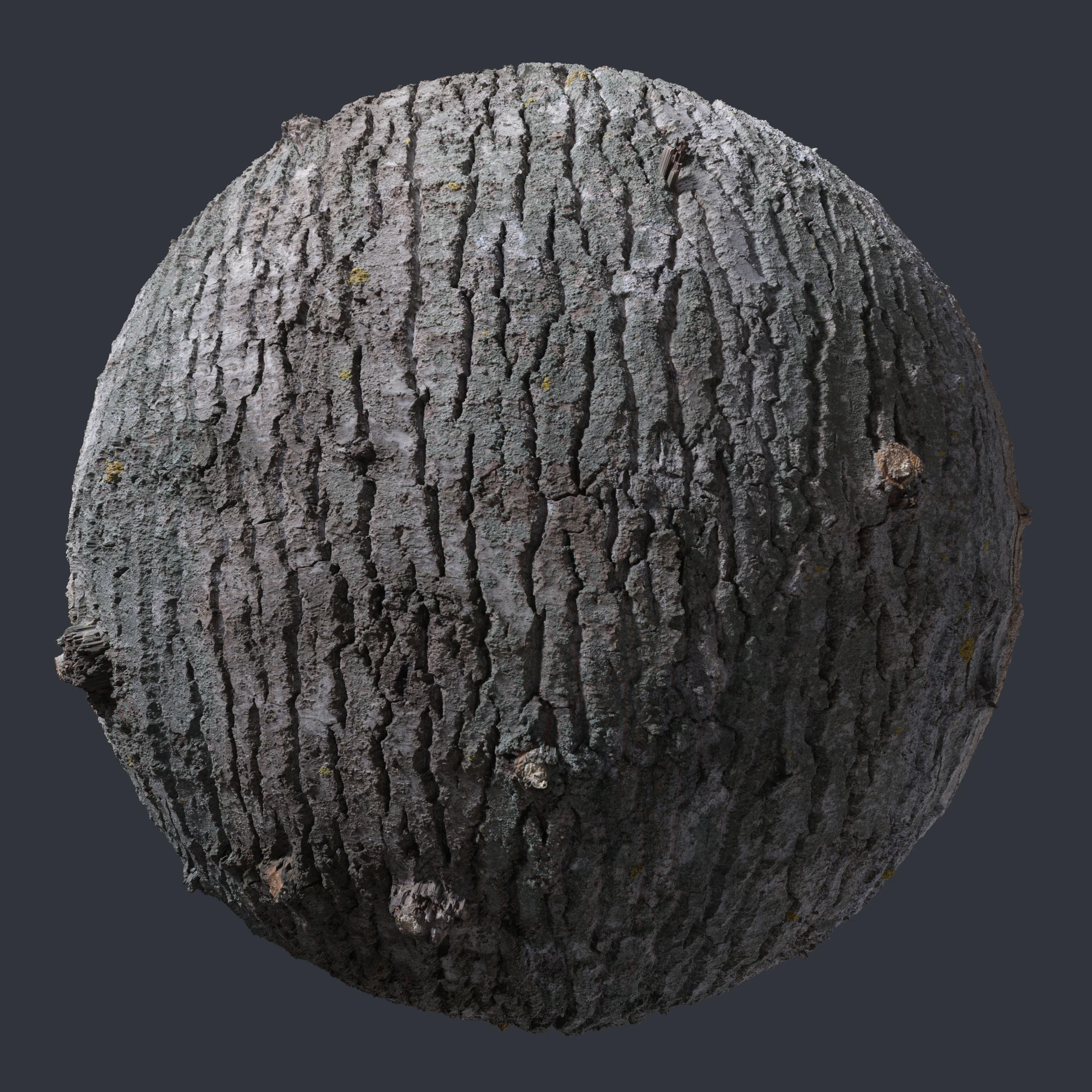 oak bark 004 — Скачать