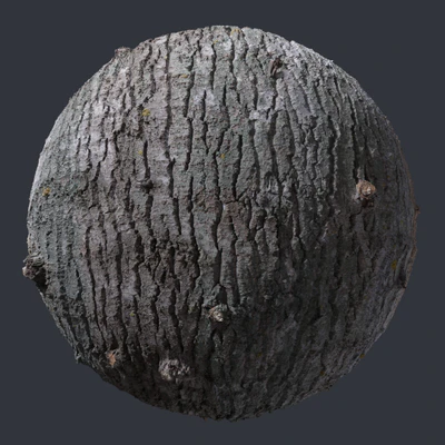 oak bark 004 — скачать