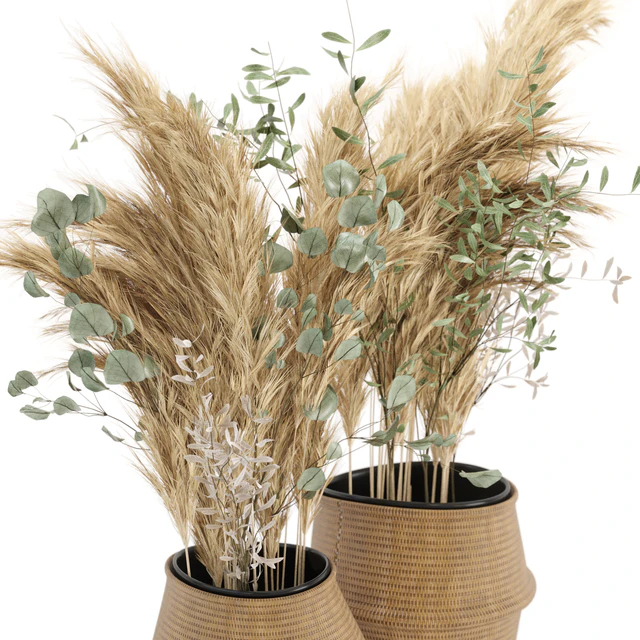 Dry plants 20 - Dried Plantset Pampas set with Wicker Basket — Descargar