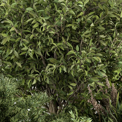 Mixed Plant Bush - Bush Set 37 — Вид 2