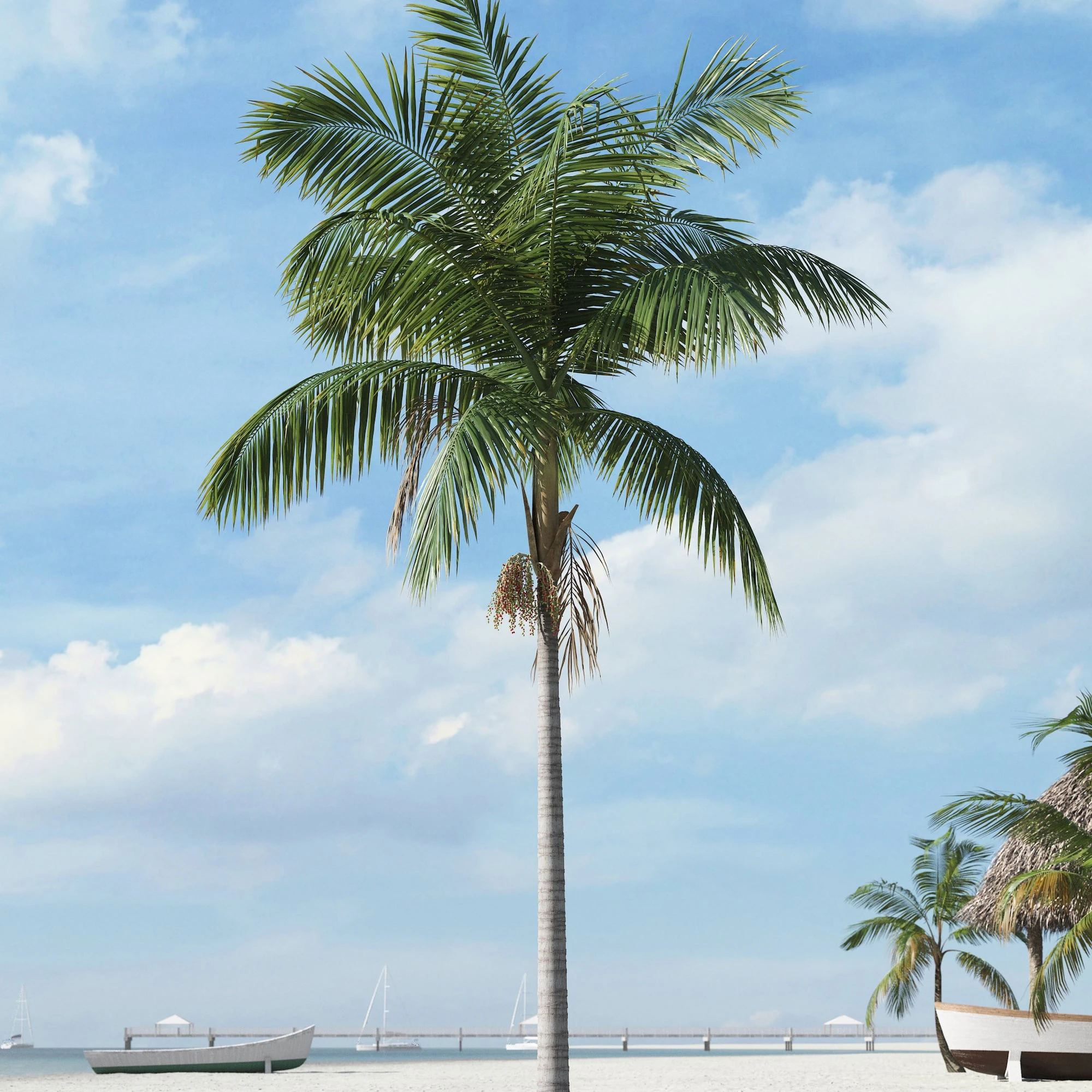 palm trees 009 — Скачать