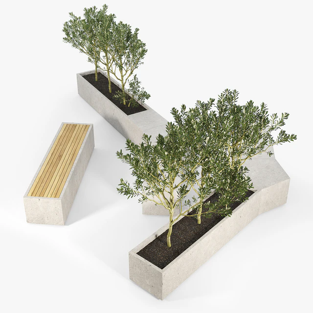 BOX PLANTER Olea europaea 02 — Descargar