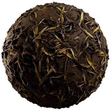 dried leaves 020 — Descargar