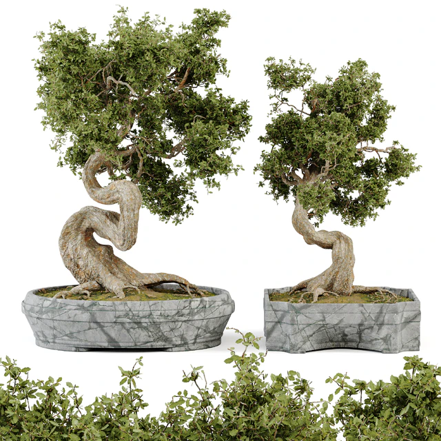 Bonsai Set Vol.01 — Скачать