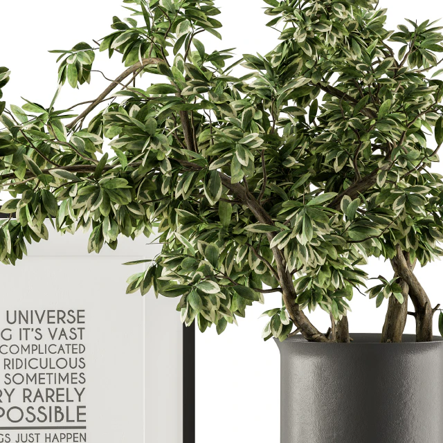 Black and Green Decorative Set with Plants - Set 77 — Descargar