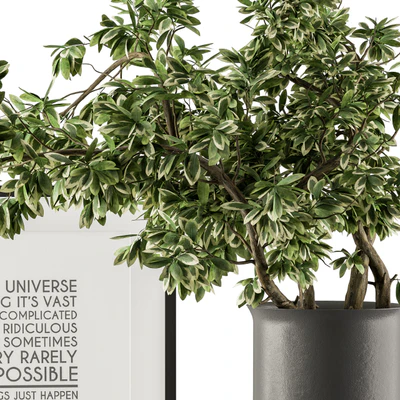 Black and Green Decorative Set with Plants - Set 77 — Ver 2