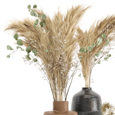 Dry plants 19 - Dried Plantset Pampas with Concrete vase — Ver 3