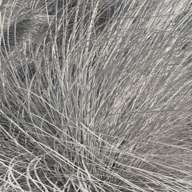 Muhlenbergia Capillaris - Pink Muhly Grass 04 — Скачать