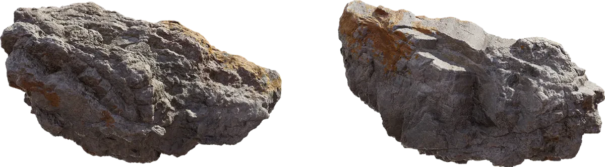 coast africanbeach rock lichen s 001 — Скачать