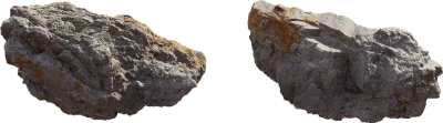 coast africanbeach rock lichen s 001 — Скачать