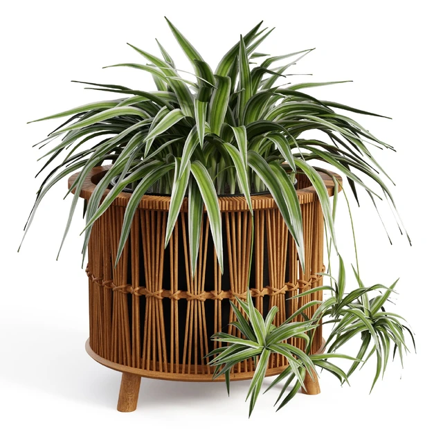 Maiki Woven Planters — Скачать