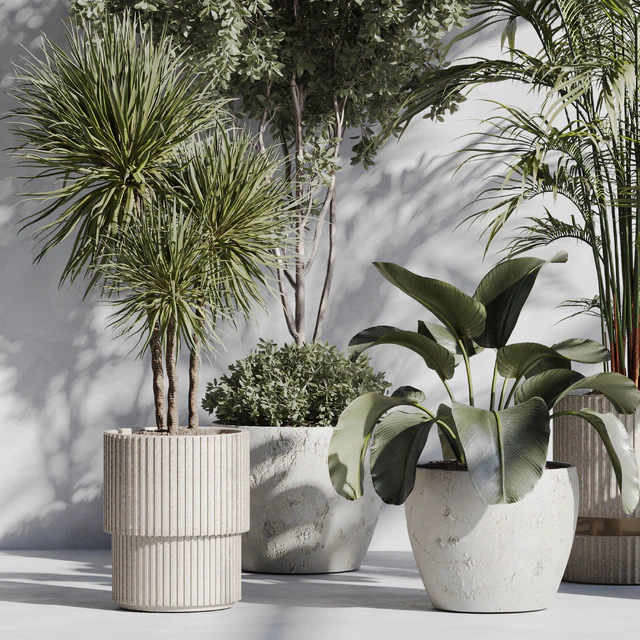 Indoor Plant Set 89 — Скачать