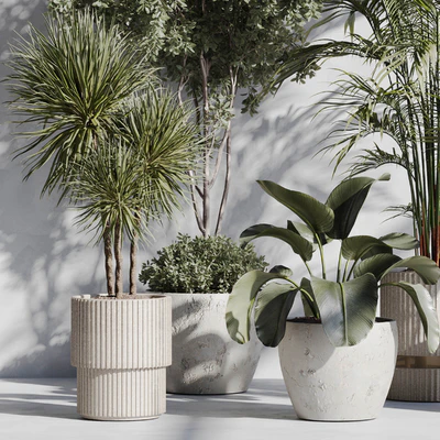Indoor Plant Set 89 — Вид 2