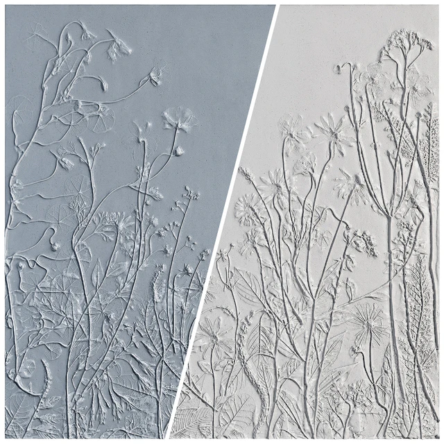 Botanical bas-relief gypsum wall decorative panel juniper dried flowers plants flora chamomile hogweed — Descargar