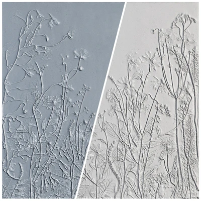 Botanical bas-relief gypsum wall decorative panel juniper dried flowers plants flora chamomile hogweed — Ver 2