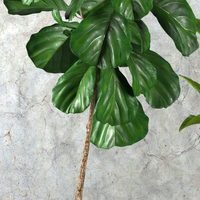 Contemporary houseplant set 3 — Ver 2