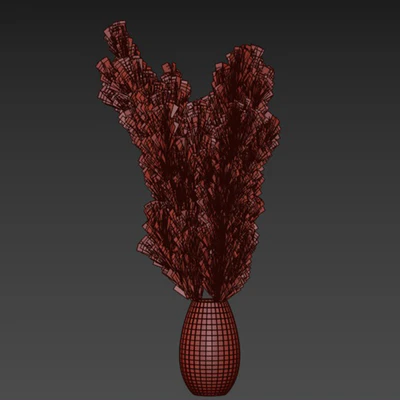 Pampas 01 — Ver 2
