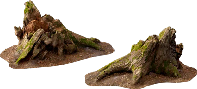 old tree stump 002 — Descargar