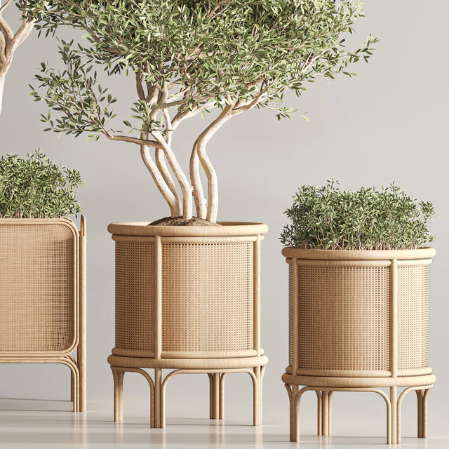 Indoor Plant Set 40 — Скачать