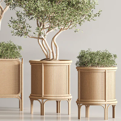 Indoor Plant Set 40 — Вид 3