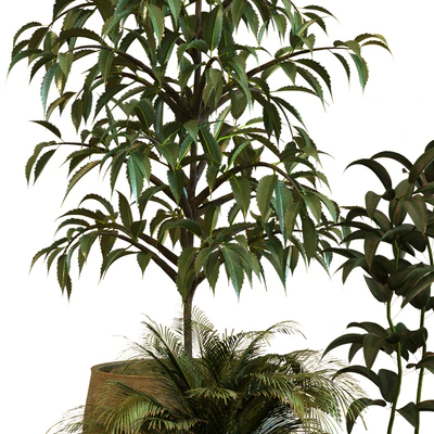 plant in box set 040 — Вид 2