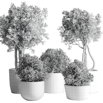 Collection Outdoor Indoor plant 53 concrete dirt vase pot tree bush — Ver 2