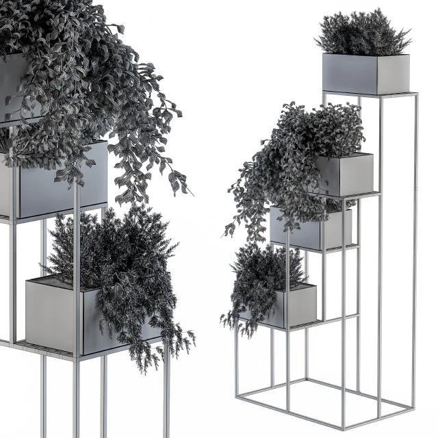 indoor Plant Set 100 - Black stand — Descargar