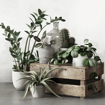 PLANTSET 2 — Ver 1