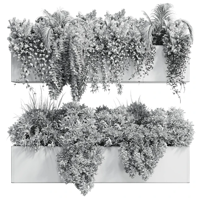 wall plant - hanging plants collection Indoor plant 219 — Descargar