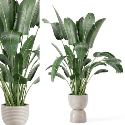 Indoor Plants  in rusty Concrete Pot - Set 298 — Вид 1